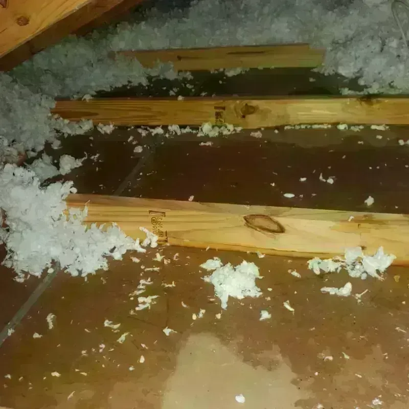 Attic Water Damage in Malvern, AR