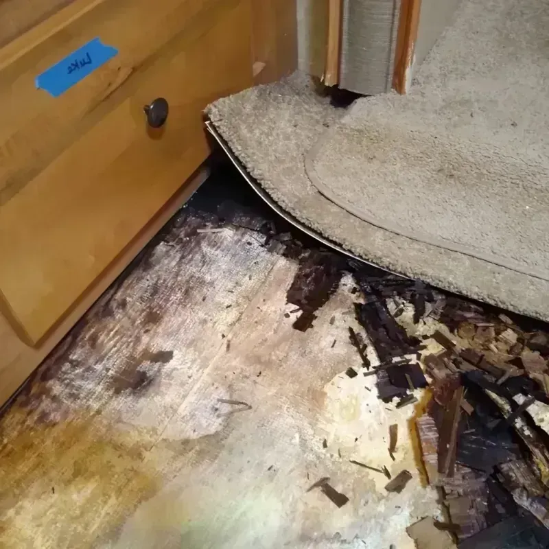 Best Wood Floor Water Damage Service in Malvern, AR